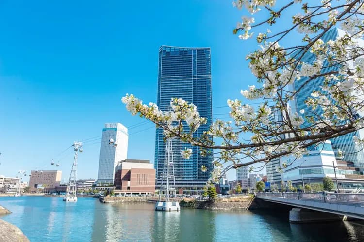 Yokohama Sakaechou Ninja House #JA1-19