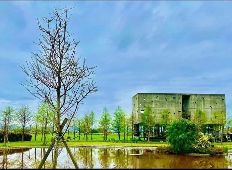 Rice Field Homestay-1