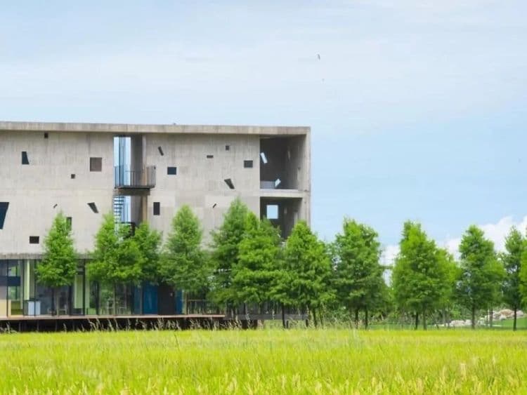 Rice Field Homestay-2