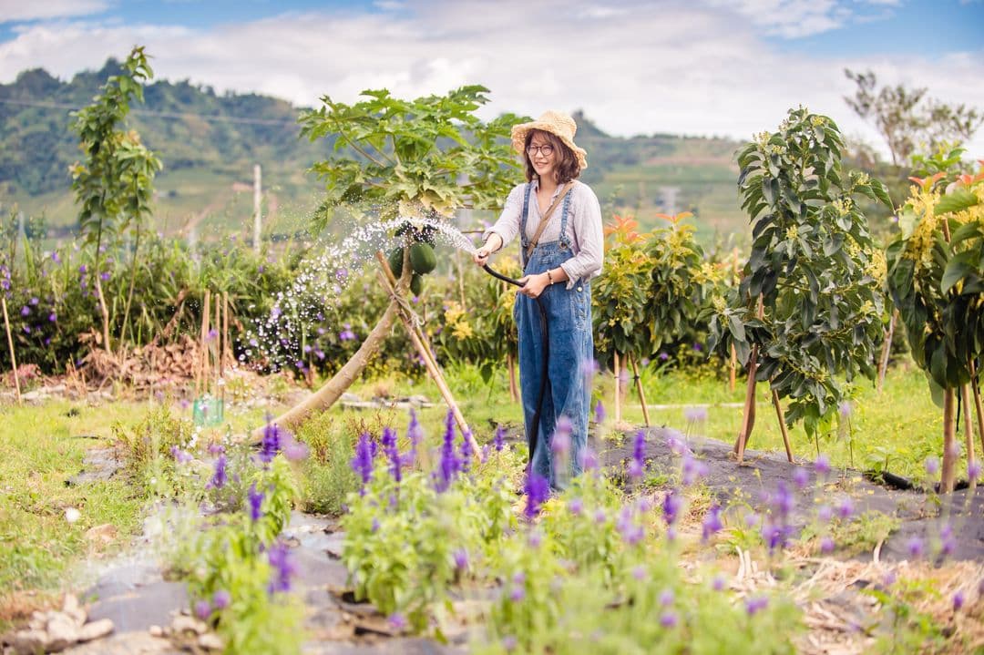 台東縣-夢之谷民宿