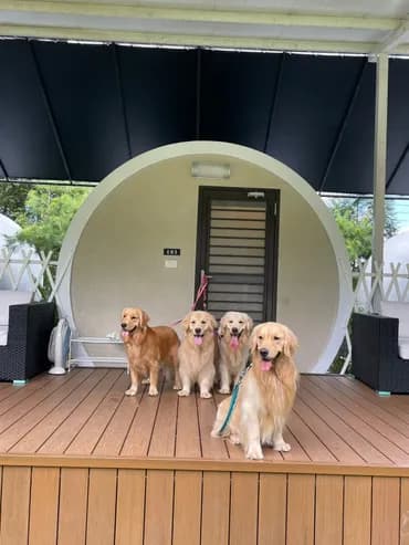 星玥涵屋STAR&MOON GUEST HOUSE-3