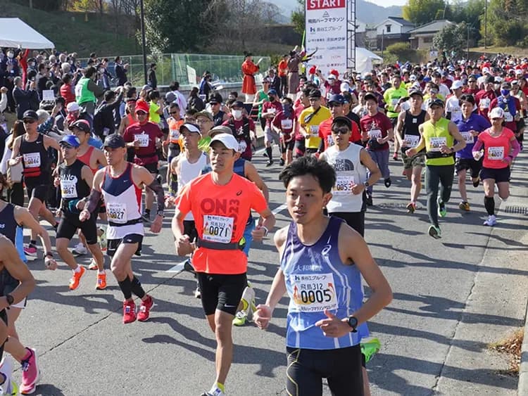 賽事圖(圖片出自飛鳥半馬拉松官網)