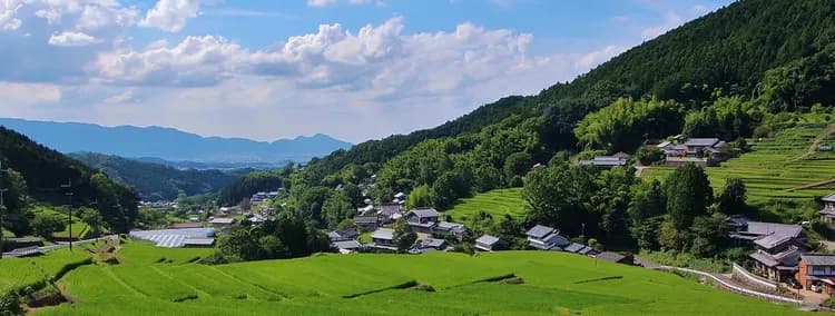 圖片出自飛鳥半馬拉松官網