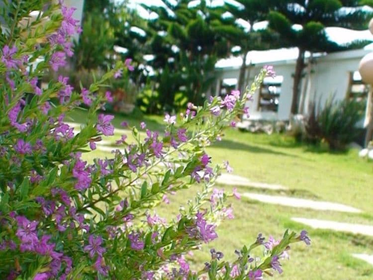 Summer Time Bed and Breakfast-11