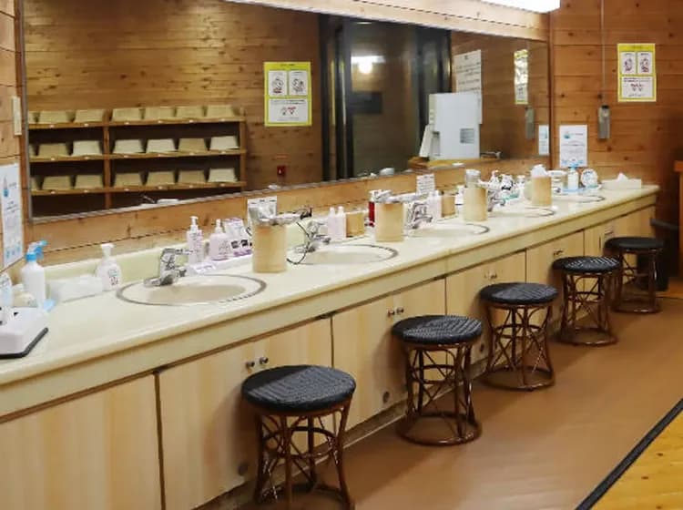 上越綠色廣場飯店|含滑雪票方案.近新潟上越國際滑雪場﹑岩原滑雪場.可預約接駁車-10