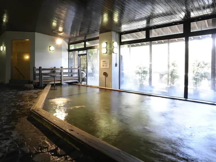 上越綠色廣場飯店|含滑雪票方案.近新潟上越國際滑雪場﹑岩原滑雪場.可預約接駁車-5