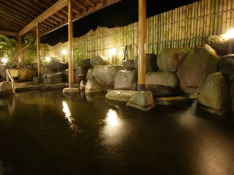 上越綠色廣場飯店|含滑雪票方案.近新潟上越國際滑雪場﹑岩原滑雪場.可預約接駁車-6