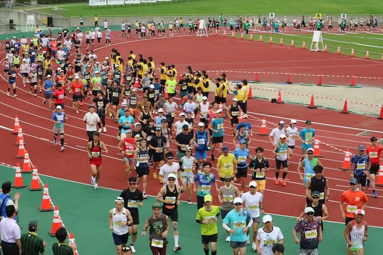 函館馬拉松(圖片出自函館馬拉松官網)。