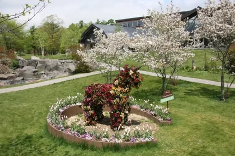 北方馬之國公園