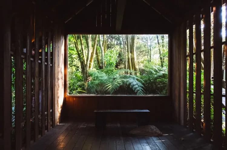 【台中新社】薰衣草森林 門票+霜淇淋買一送一-6