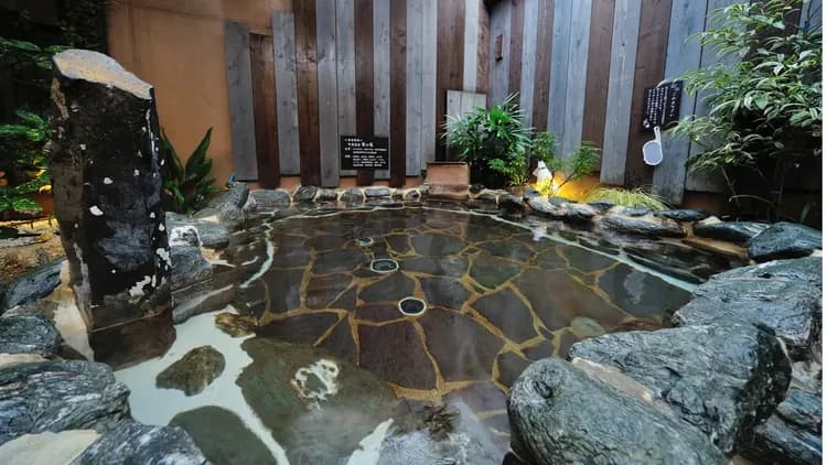 천연 온천 하기노유 도미 인 센다이 에키마에-5