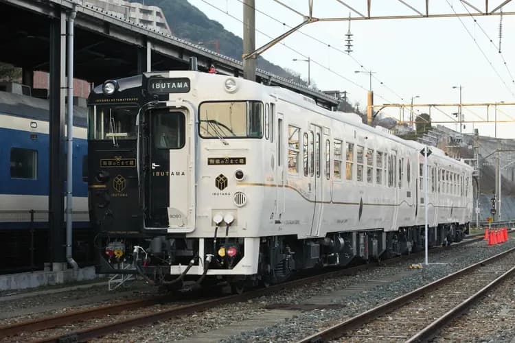 【三零深度九州旅遊8日】南北全覽、柳川遊船、和服體驗、熊本城、仙巖園、櫻島渡輪、指宿玉手箱、長崎夜景溫泉-7