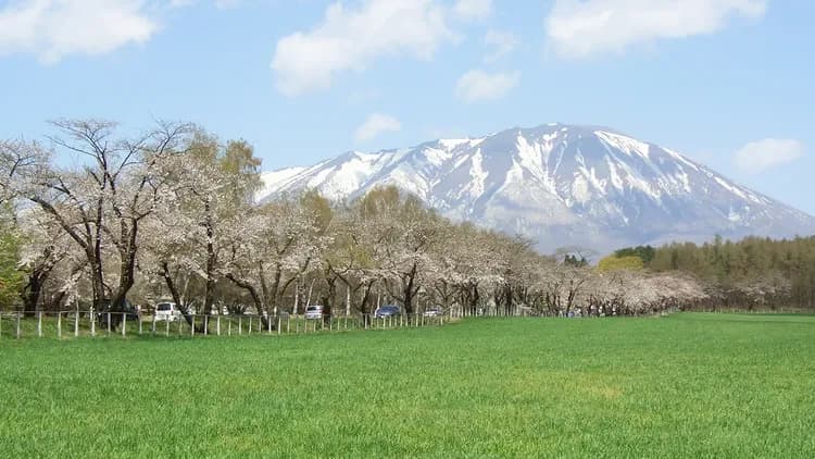 珍珠城市飯店 盛岡|JR盛岡站步行5分/近盛岡城-1