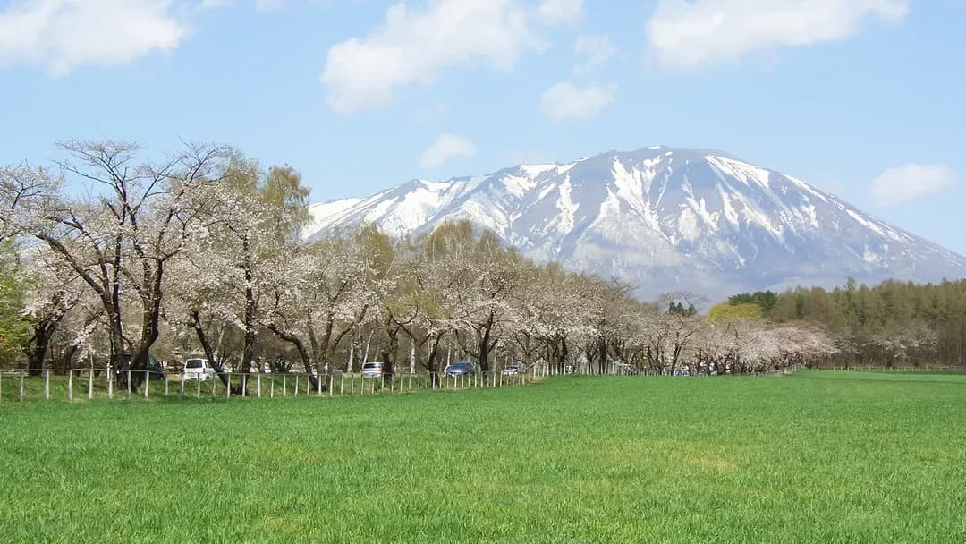 岩手縣-珍珠城市飯店 盛岡|JR盛岡站步行5分/近盛岡城