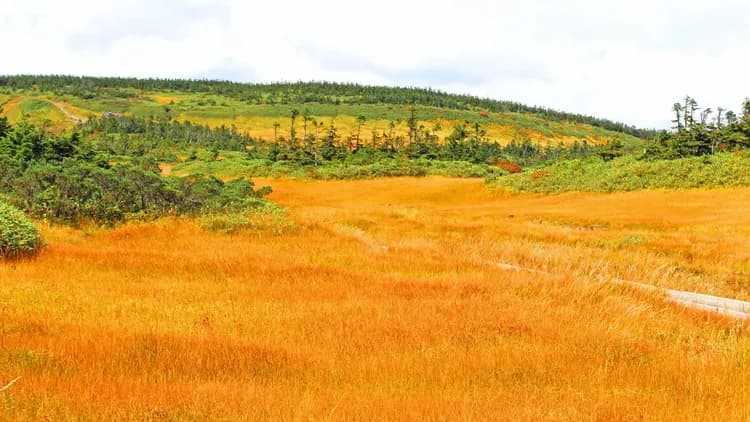 Hachimantai Mountain Hotel-1