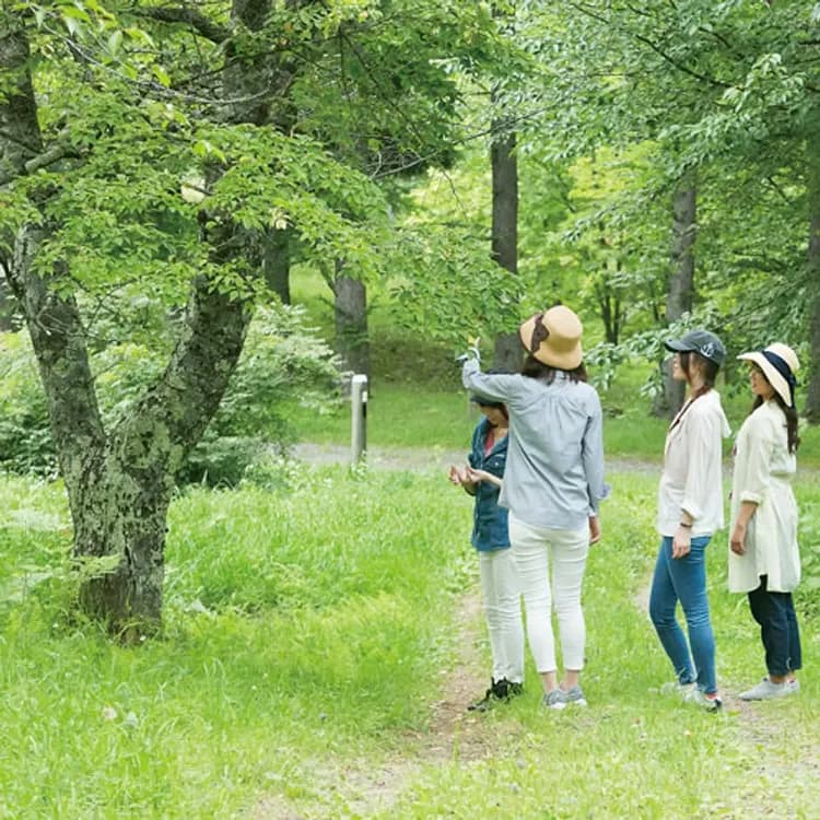 Hachimantai Mountain Hotel-14