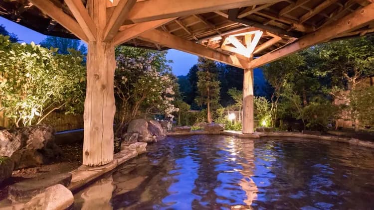 HANAMAKI ONSEN HOTEL KOYOKAN-6