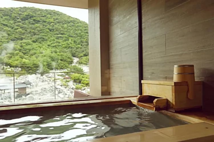 Unzen Onsen Kyushu Hotel-9