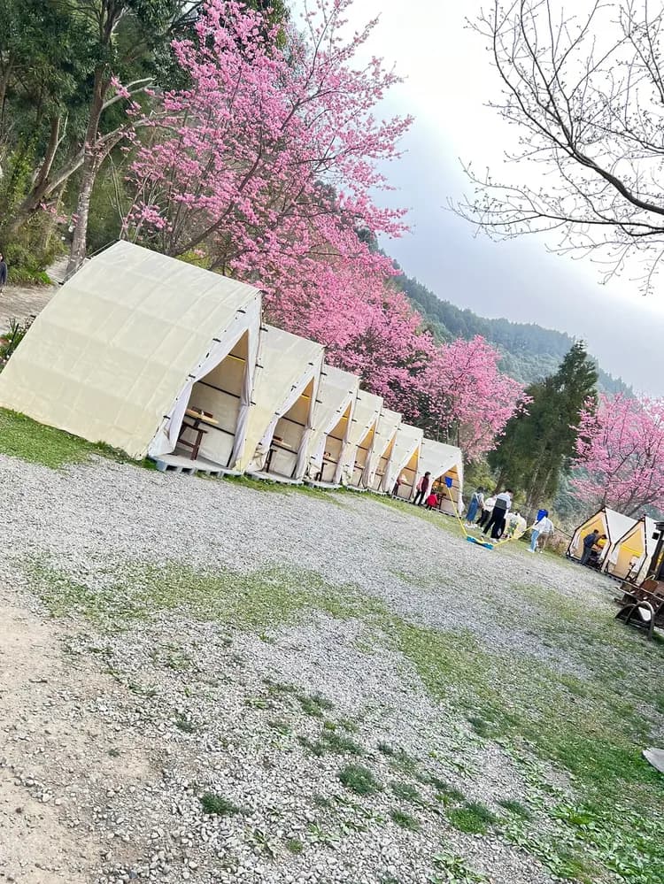 貝德拉蔓露營區 | 一泊三食豪華露營-7