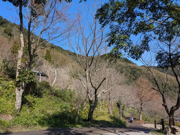 貝德拉蔓露營區 | 一泊三食豪華露營-5