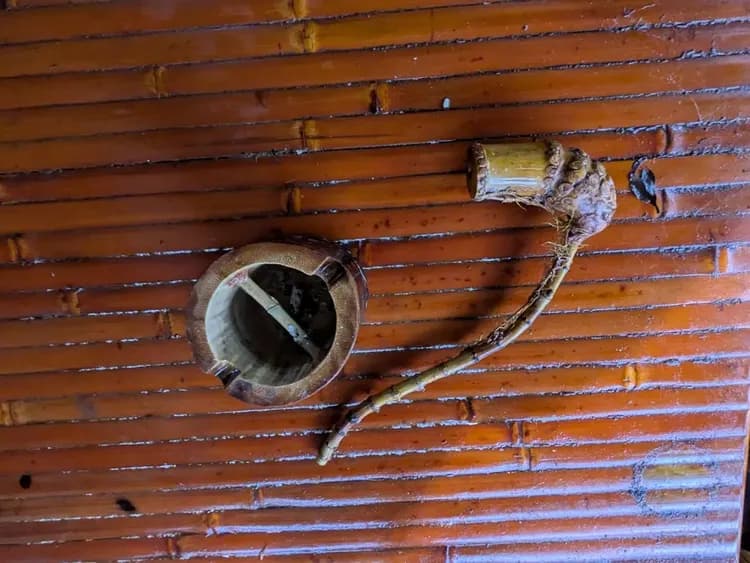 貝德拉蔓露營區 | 一泊三食豪華露營-17