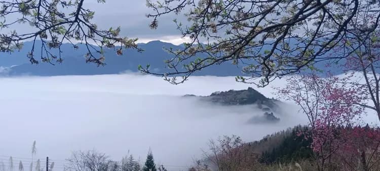 貝德拉蔓露營區 |獨家85折起! 一泊三食豪華露營、五峰高海拔觀星、再享手作 DIY 體驗-5