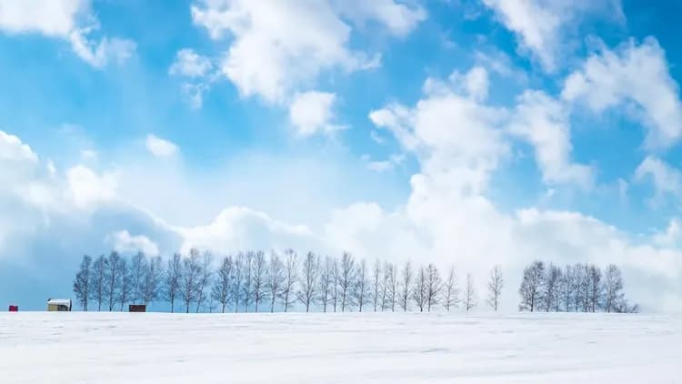 好食在北海道旅遊|冬季星野渡假村.水教堂.A5和牛料理.三大螃蟹啤酒喝到飽在地美食五日-6