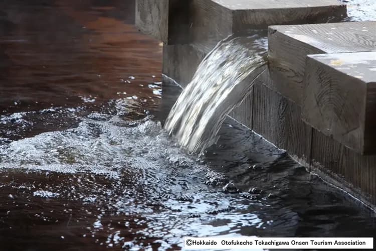 好食在北海道旅遊|冬季星野渡假村.水教堂.A5和牛料理.三大螃蟹啤酒喝到飽在地美食五日-5