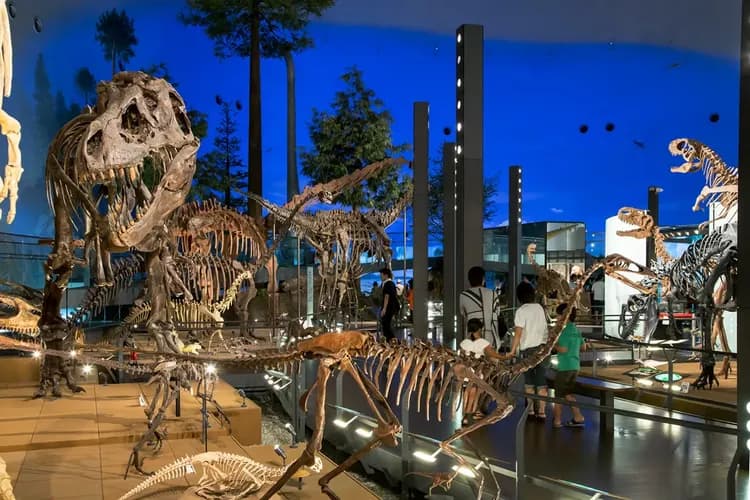 Hotel Route-Inn Fukui Ekimae-19