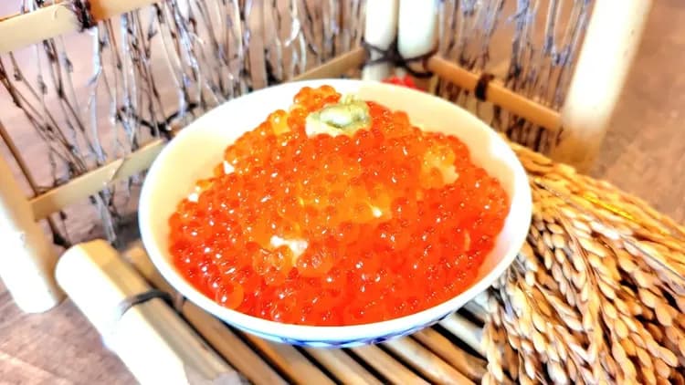 福井cooju飯店|恐龍主題家庭房/福井恐龍博物館開車35分/丸岡城開車10分-15