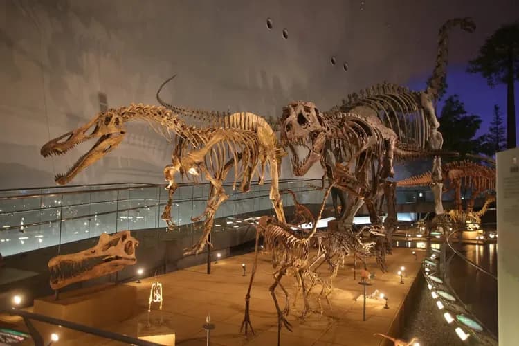 福井Dormy Inn PREMIUM|大浴場/福井站徒步7分/福井縣立美術館搭電車15分-18