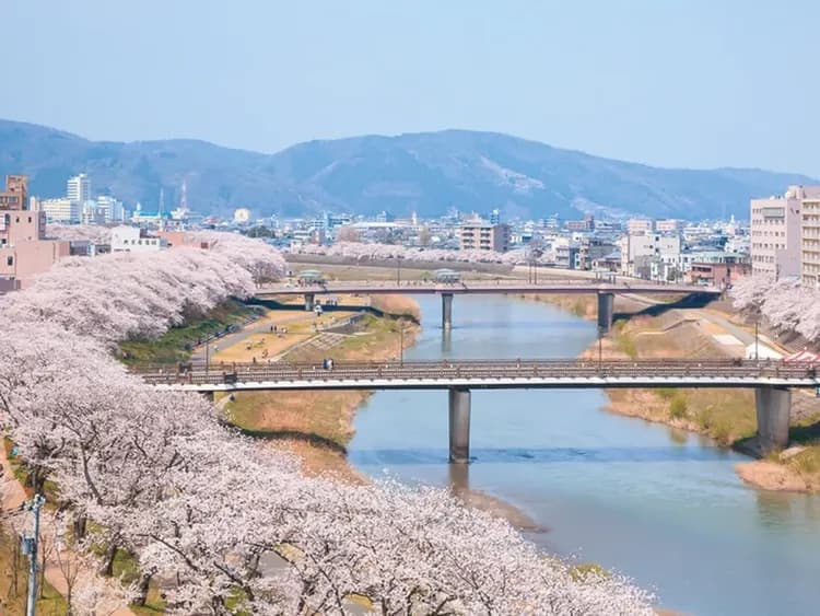 福井藤田飯店|福井車站徒步10分/福井城址徒步10分/恐龍博物館開車50分-18