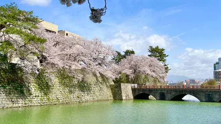 福井藤田飯店|福井車站徒步10分/福井城址徒步10分/恐龍博物館開車50分-17