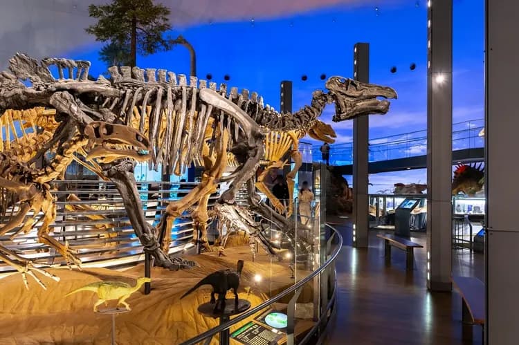 福井藤田飯店|福井車站徒步10分/福井城址徒步10分/恐龍博物館開車50分-20