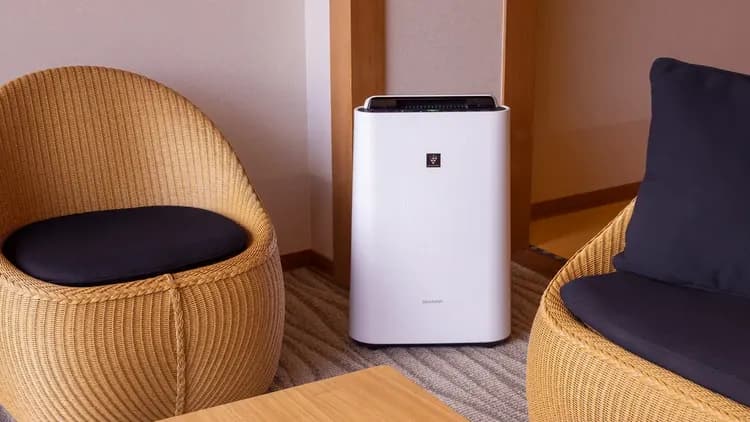 雄琴溫泉 琵琶湖綠水亭飯店|雄琴溫泉車站接駁服務/大浴場/部分房型有附露天風呂-7