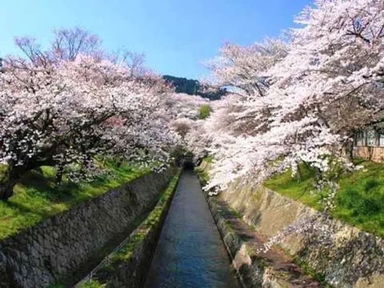 Smile Hotel Otsu Seta-20