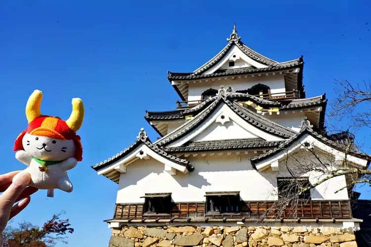 Comfort Hotel Hikone-17