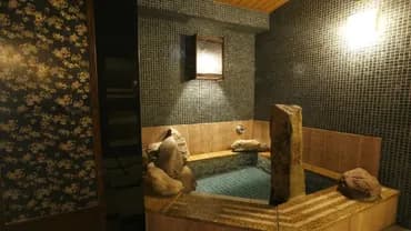 DORMY INN Premium Wakayama (Kishunoyu Natural Hot Spring)-3