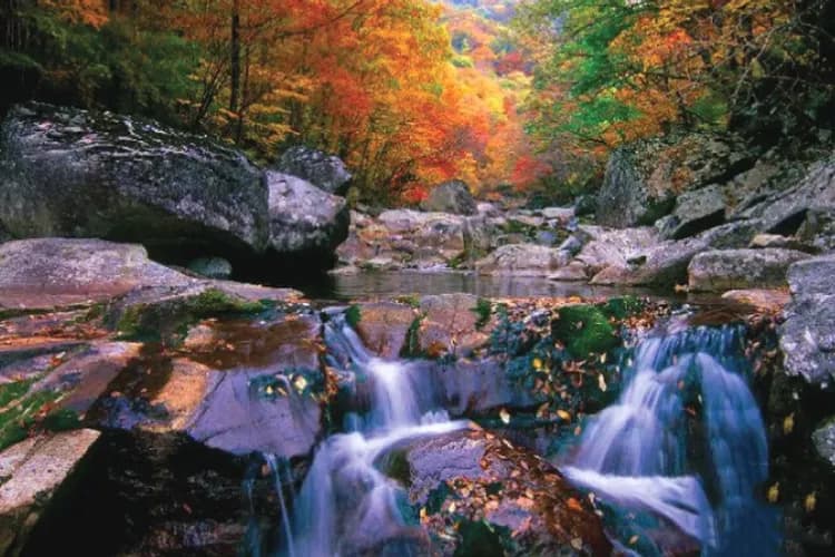 內藏山步道沿途景致