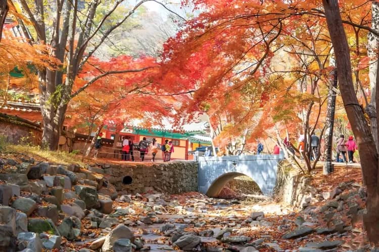 內藏山步道沿途景致