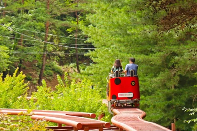 松香公園空中自行車
