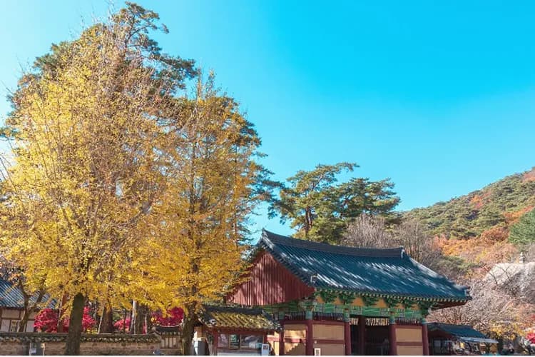 俗離山國立公園