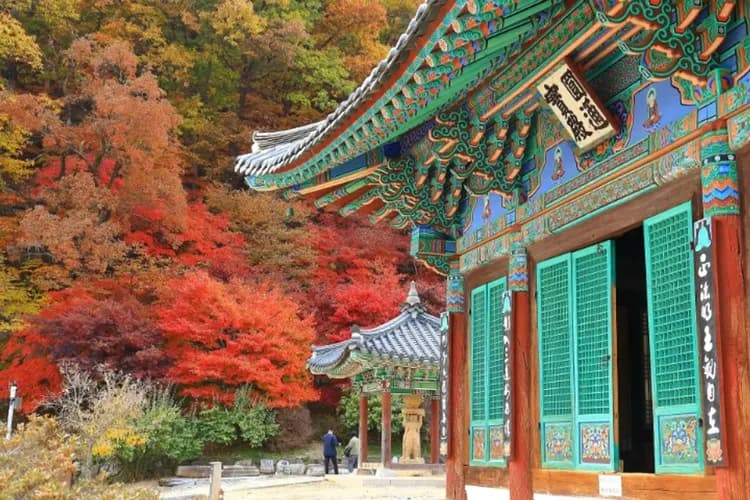 俗離山國立公園