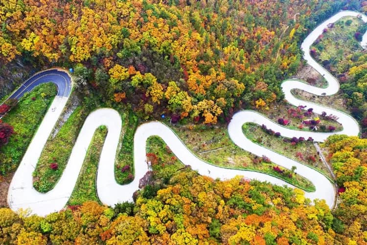 馬踢嶺展望台俯眺景觀