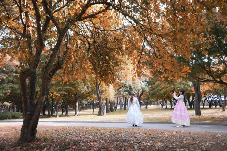 慶州歷史遺址區 *本行程無提供韓服租借服務。