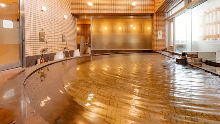 苗場王子大飯店|越後湯澤站免費接駁 (需預約)/近苗場滑雪場-10