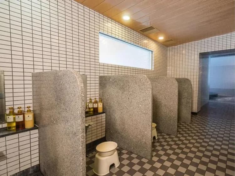 苗場王子大飯店|越後湯澤站免費接駁 (需預約)/近苗場滑雪場-11