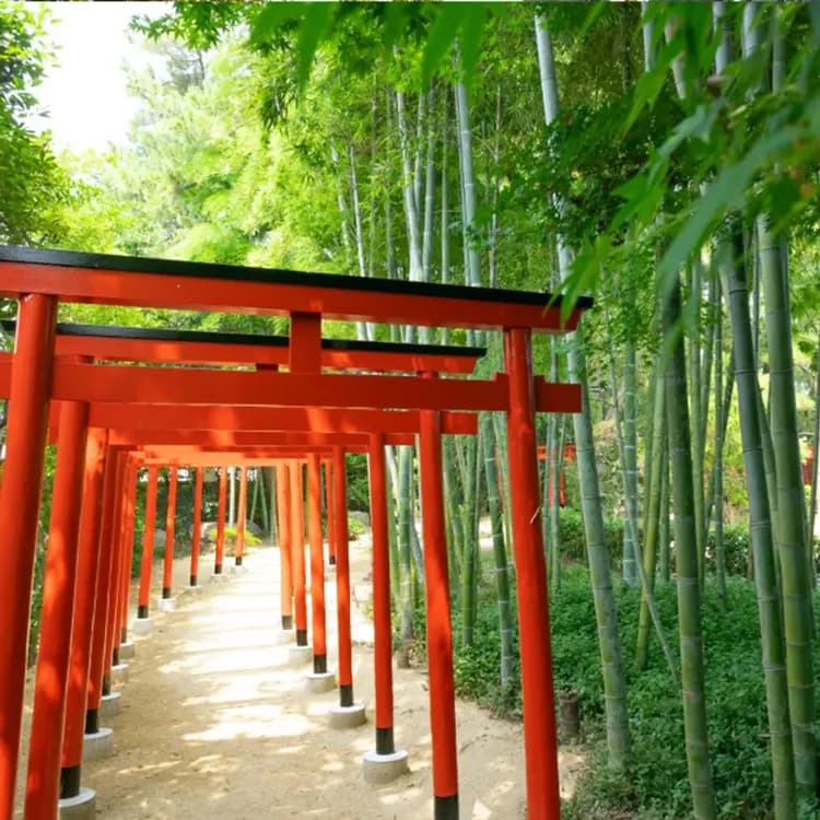 穿著和服體驗城下町復古之旅,感受400年的歷史-5