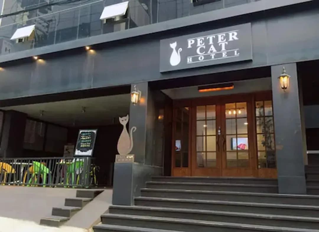 Seoul-Petercat Hotel Sinchon Hongdae