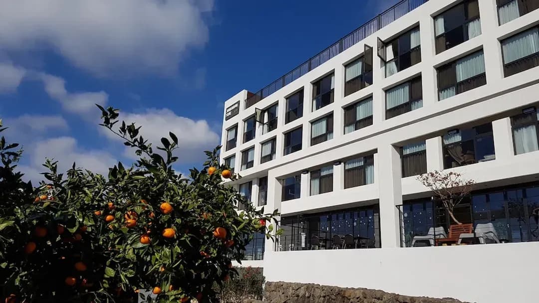 濟州特別自治道-濟州住宿採訪飯店